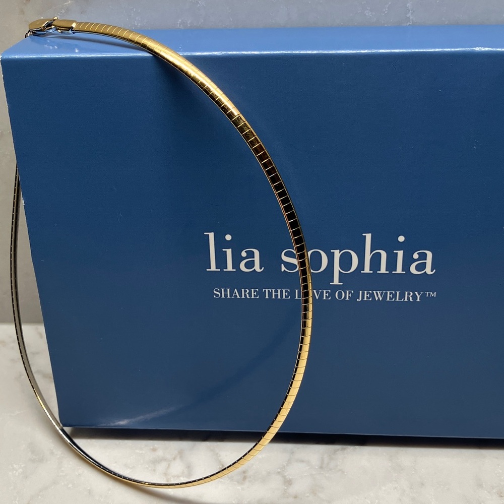 Lia Sophia Gold and Silver Toned Omega Necklace